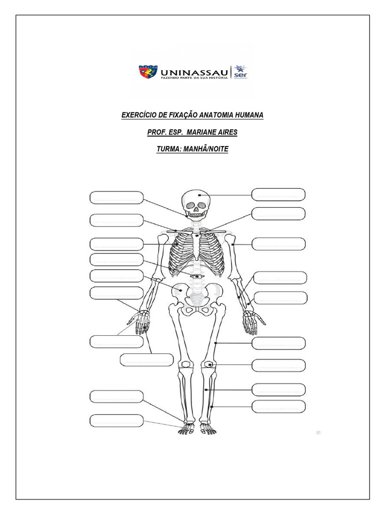 Exercício de Fixação Anatomia Humana 3 | PDF