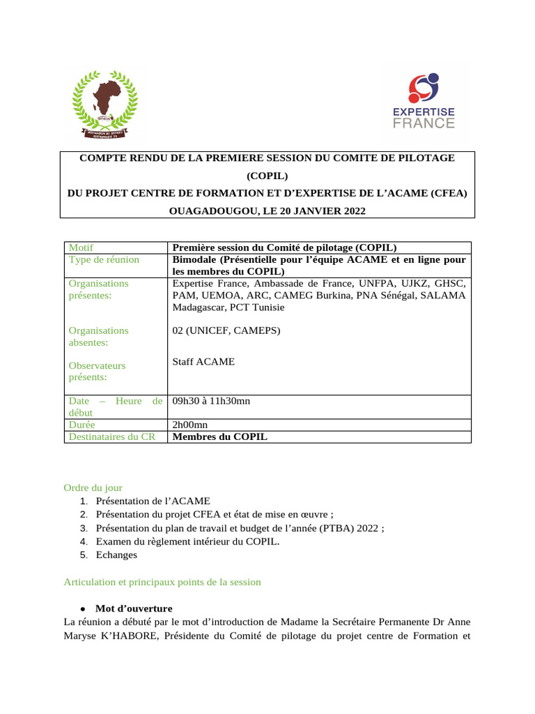 Compte Rendu COPIL Projet CFEA | PDF | Budget | Business