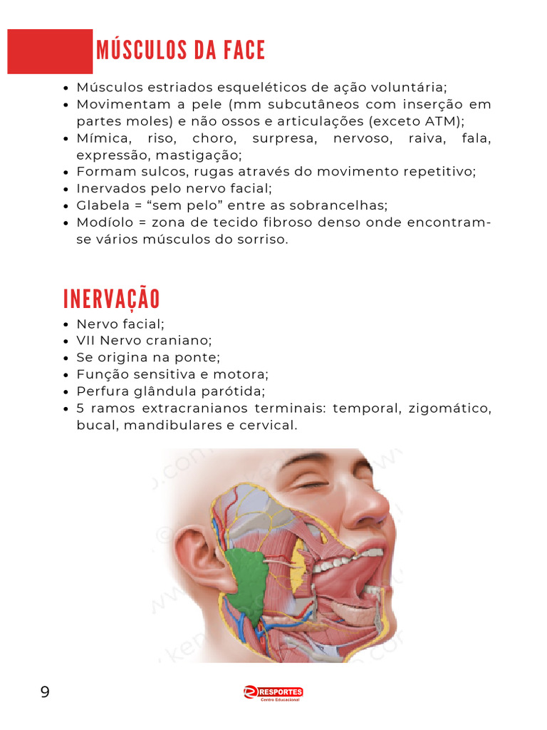 MUSCULOS-BOTOX-1 | PDF | Anatomia humana | Cabeça e pescoço humano