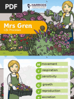 Understanding Mrs. Gren Principles | PDF