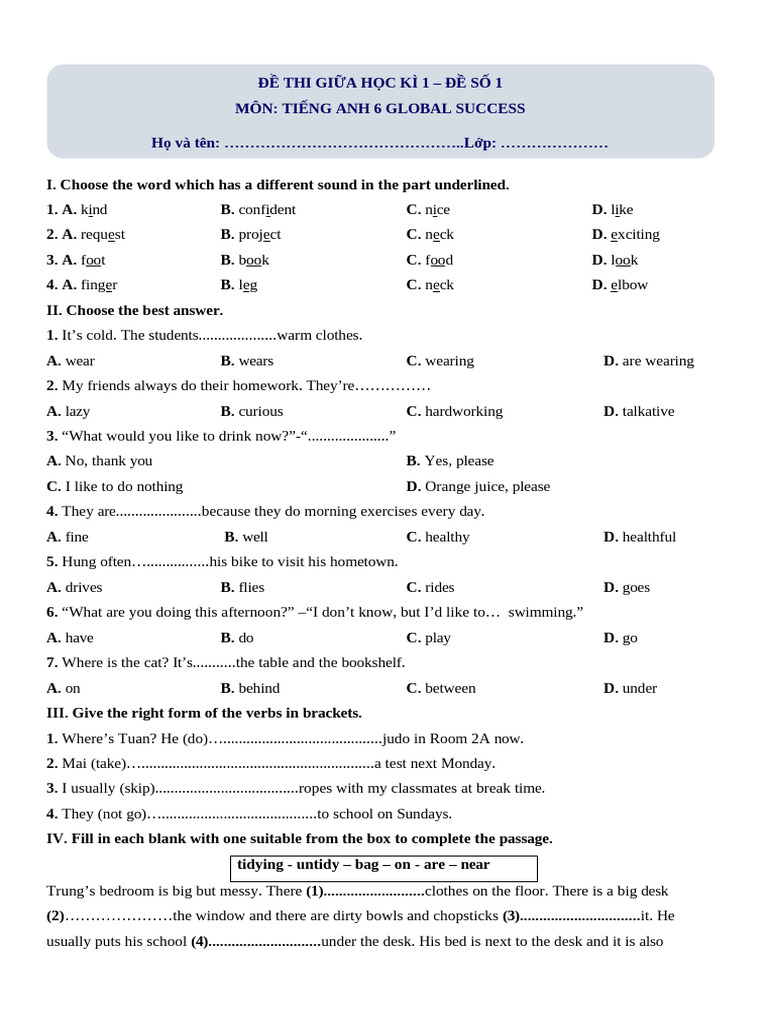 English Language Practice Test for Grade 6 | PDF