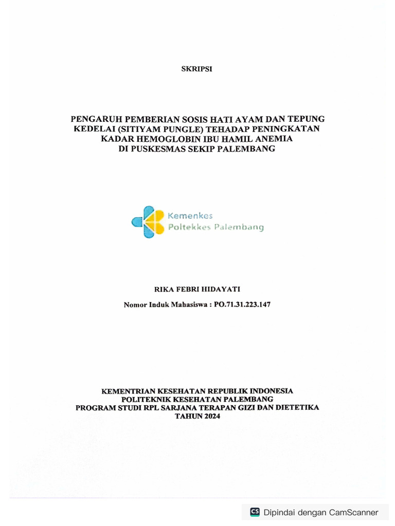 Rika Febri Hidayati - Berkas Skripsi RPL | PDF