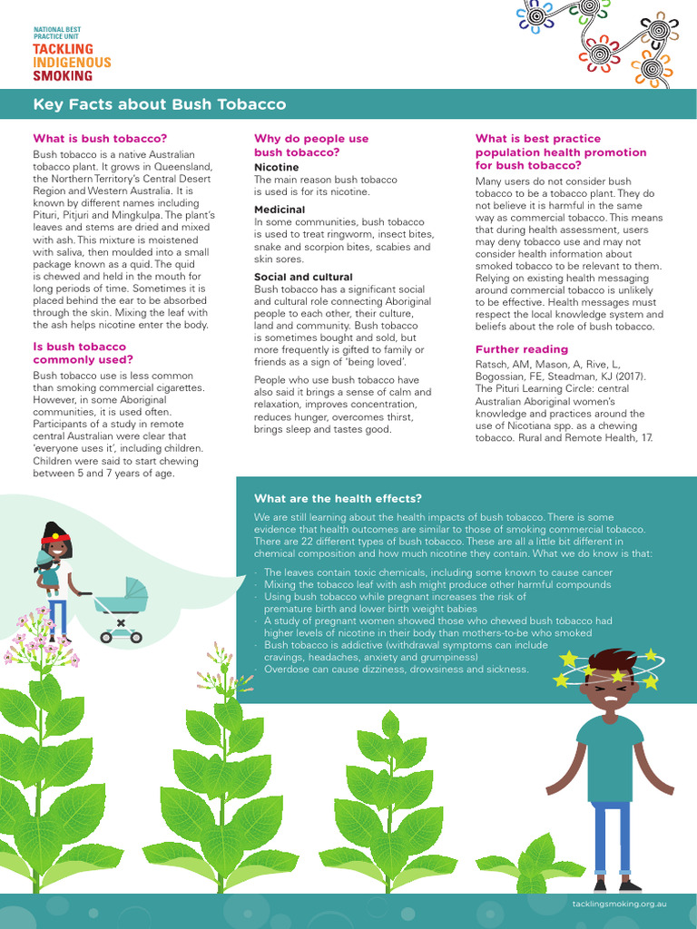 Bush Tobacco: Uses and Health Effects | PDF | Tobacco | Habits