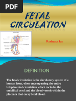 Fetal Circulation Flow Chart | PDF