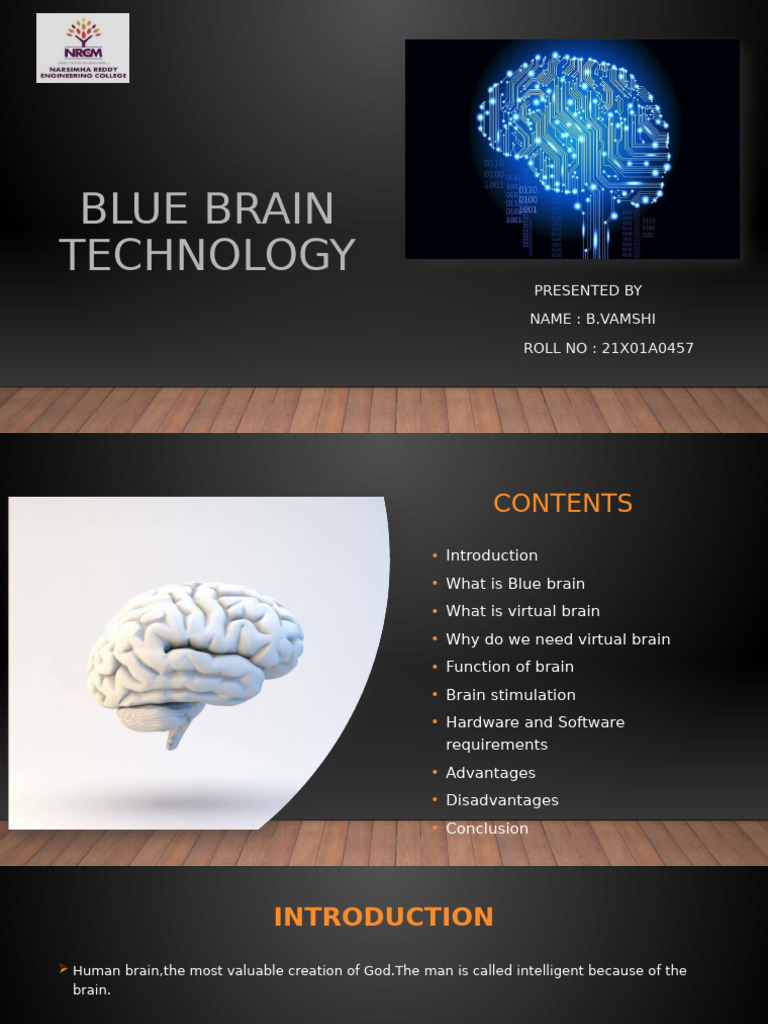 Blue Brain Technology Overview | PDF | Input/Output | Central ...