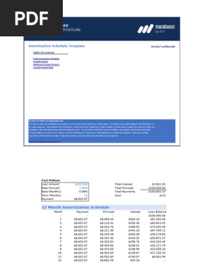 Debt Schedule
