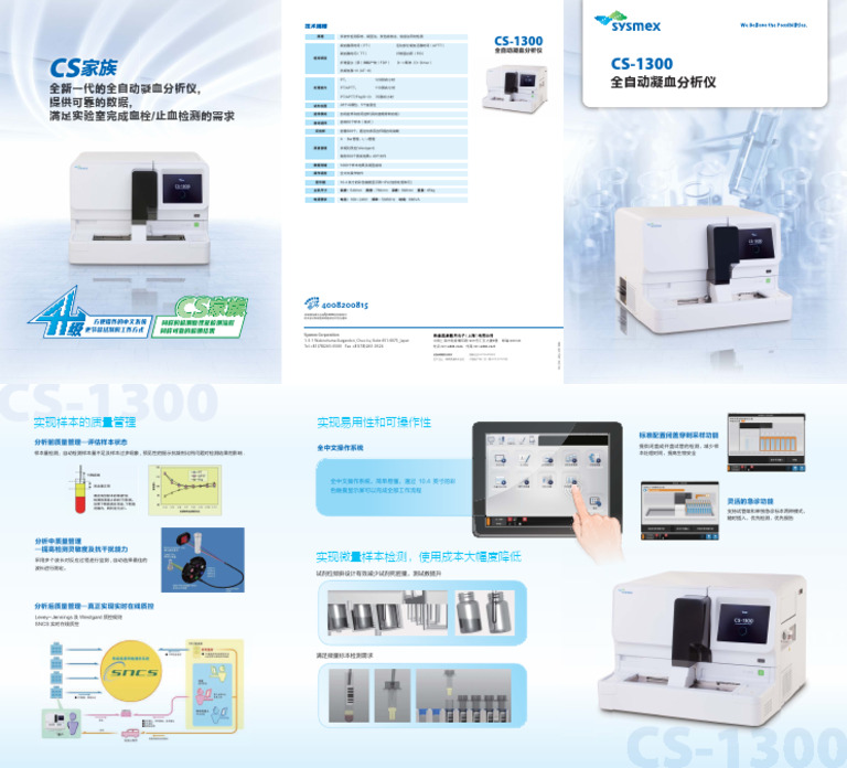 CS1300 | PDF
