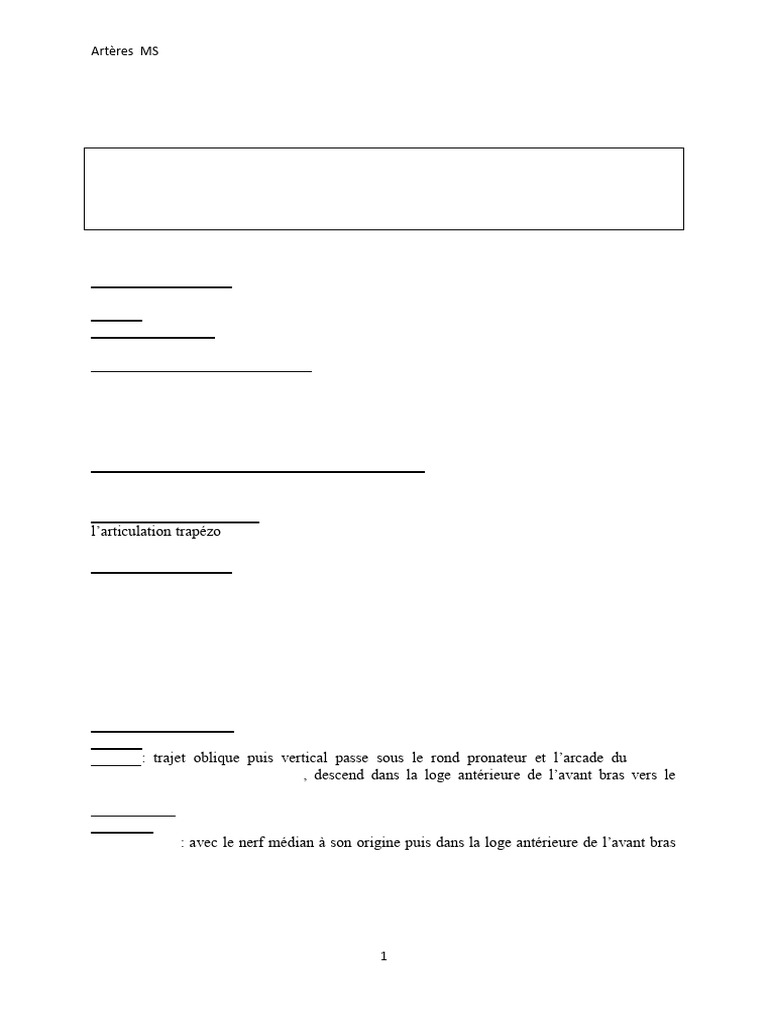 Vascularisation artérielle de la main | PDF | Main | Membres (anatomie)