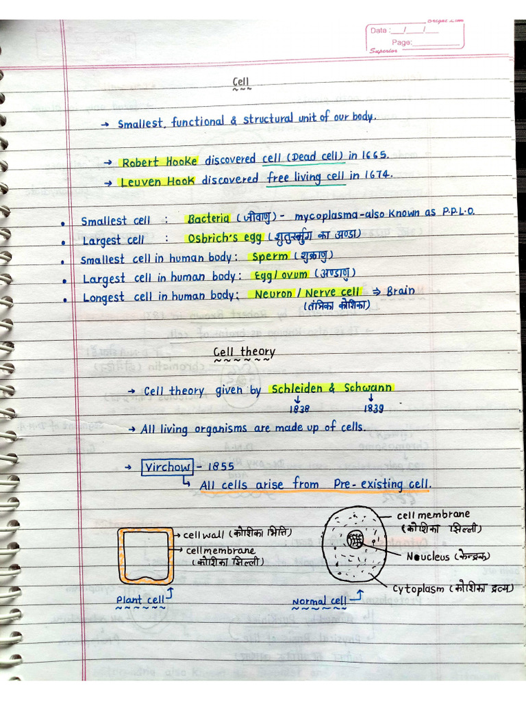 Biology Class Notes | PDF