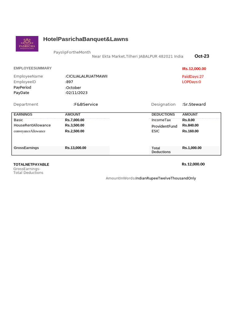 Sample salary slip of company 2 pdf