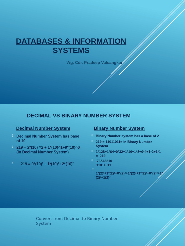 Database Management System | PDF | Data Mining | Data