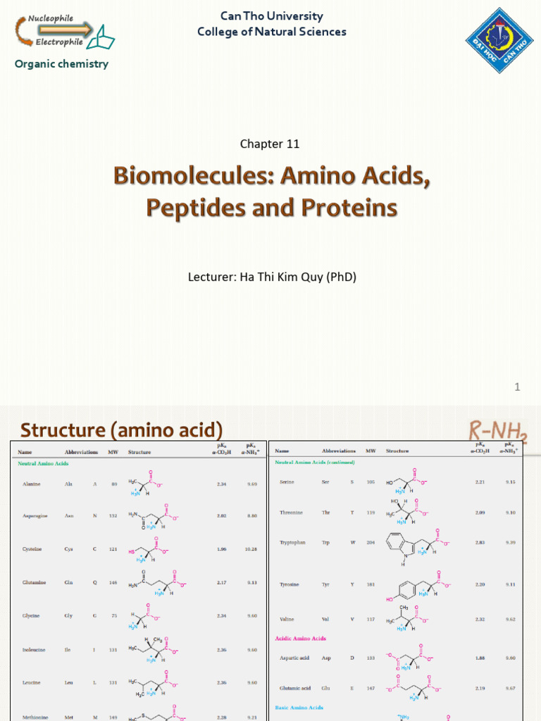 Understanding Peptides and Proteins | PDF