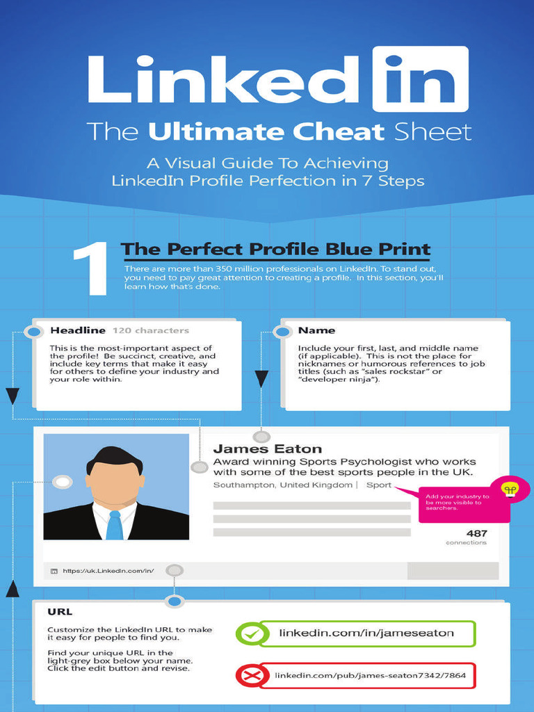 LinkedIn Infographic - Visual Guide To A Perfect Profile | PDF