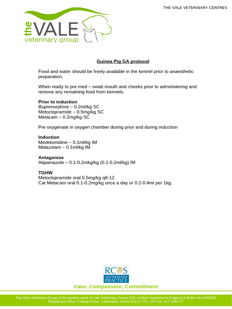 View of Guinea Pig GA protocol | PDF