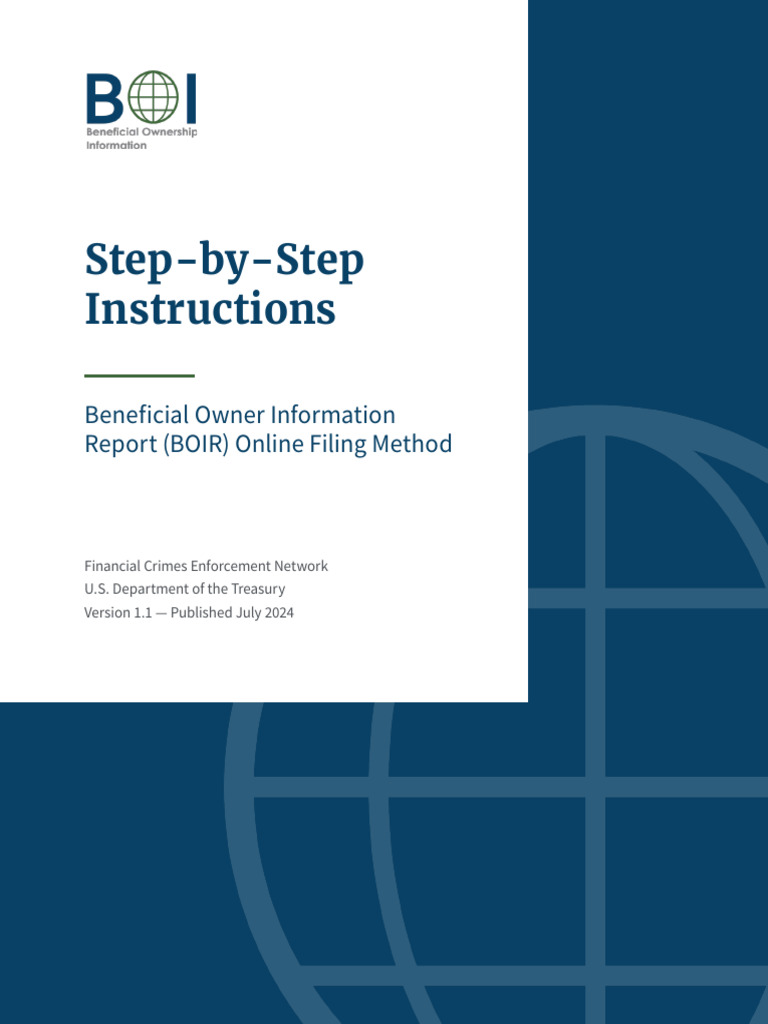 BOIR Online Filing Instructions Guide | PDF | Identity Document