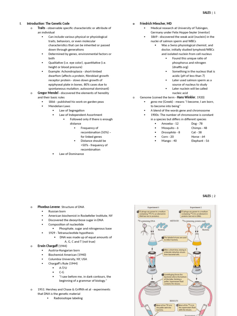 MolGen Pre-Midterm Notes | PDF | Messenger Rna | Rna Splicing