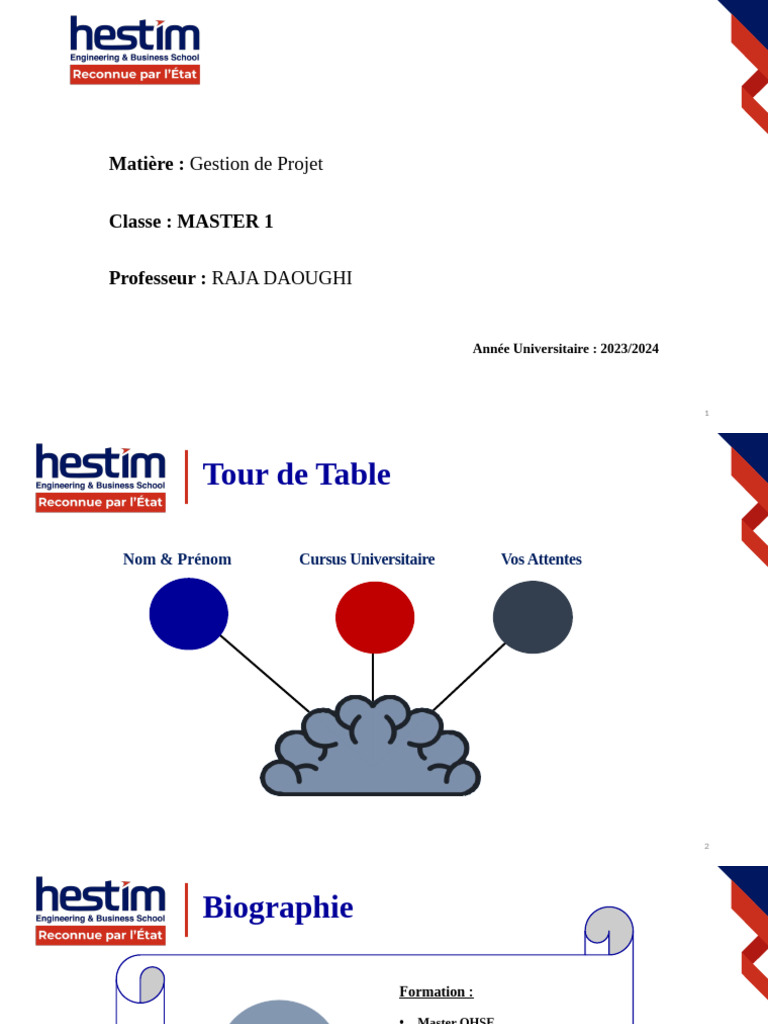 Gestion de Projet : Planification Efficace | PDF | Risque | Planification
