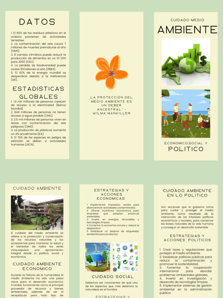 triptico medio ambiente | PDF | Entorno natural | Contaminación