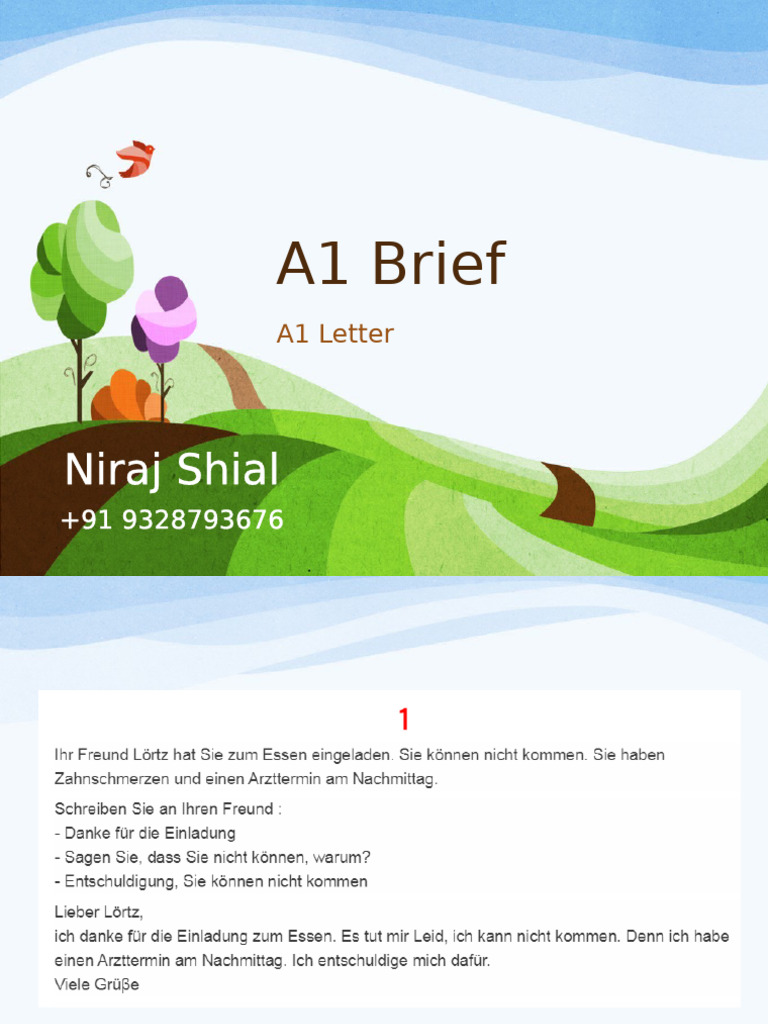 A1 Brief Overview | PDF