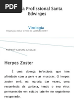 virologia2