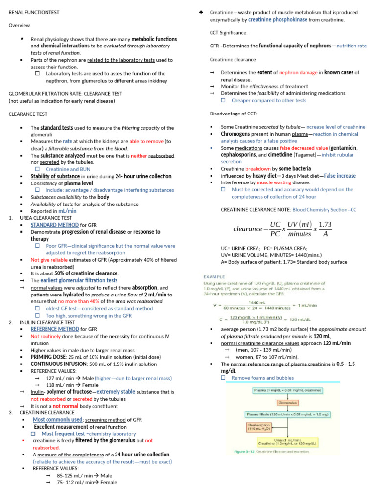 W2 Renal Functiontest | PDF | Kidney | Creatinine