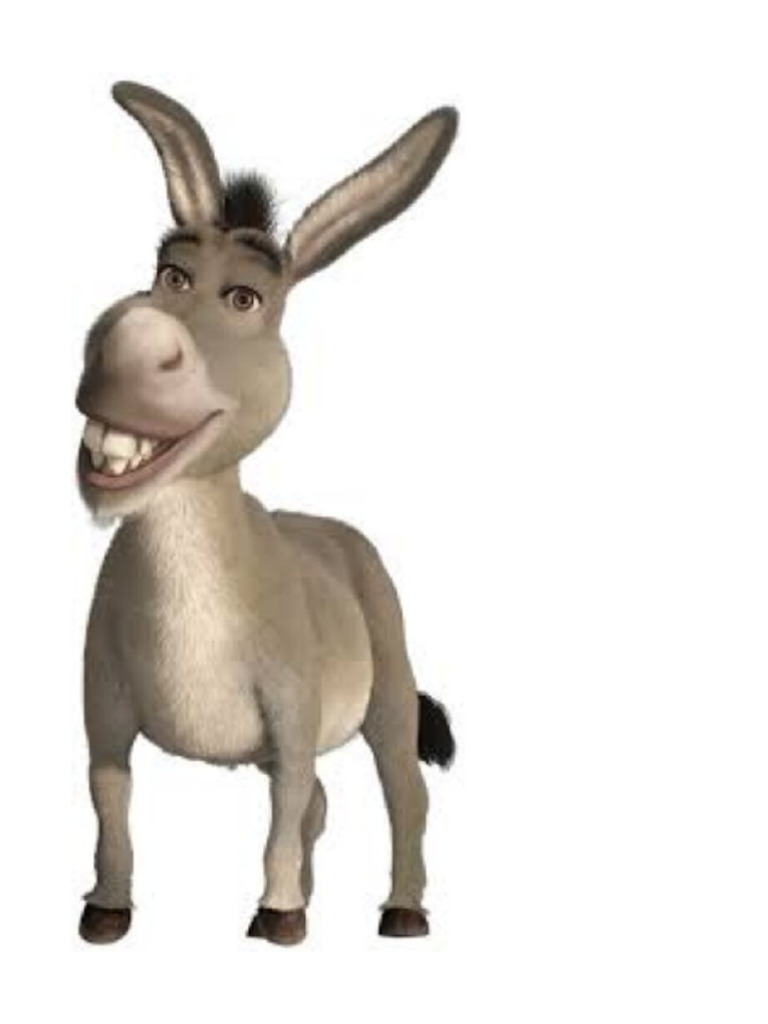 Donkey | PDF