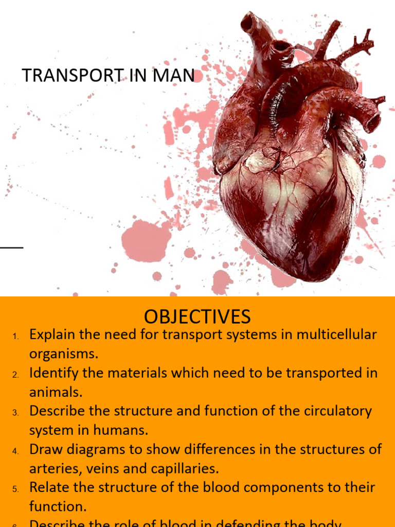 TRANSPORT SYSTEM IN MAN.pptx PDF Heart Valve Heart