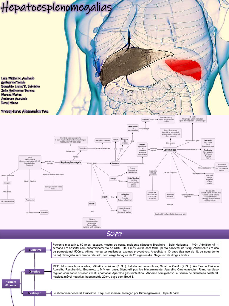 MARC Semana 10 Mapa Conceitual - Hepatoesplenomegalia | PDF | Autoajuda ...