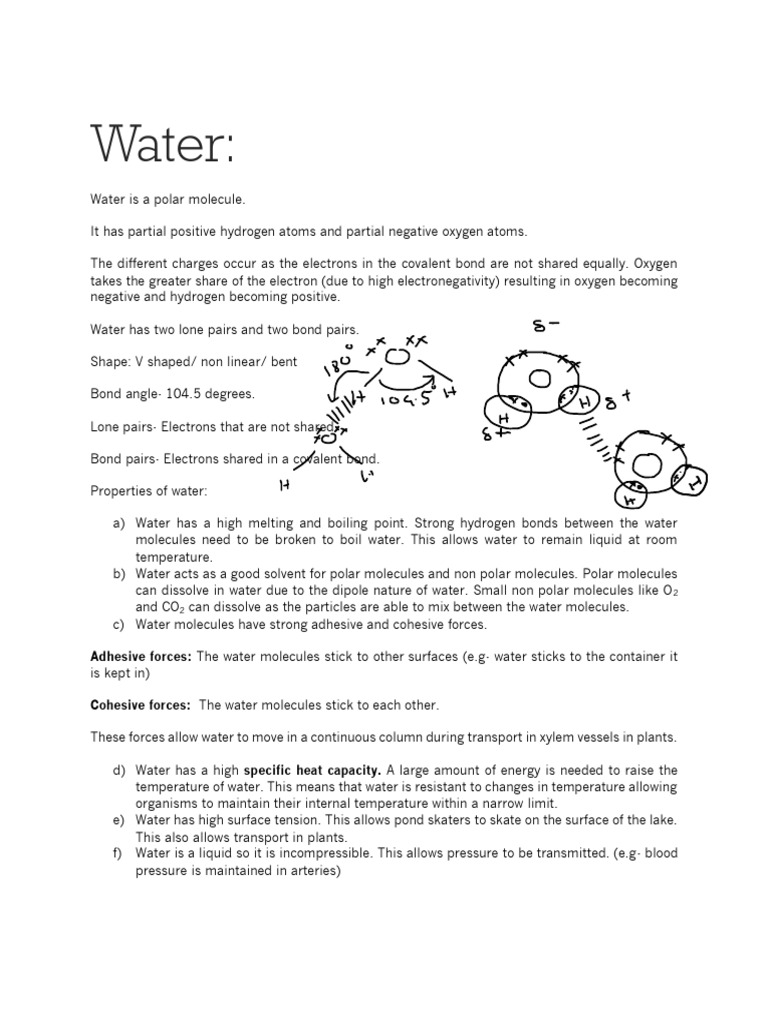 Chapter 1A WaterJ Carbohydratesj Fats and Proteins | PDF | Fatty Acid ...