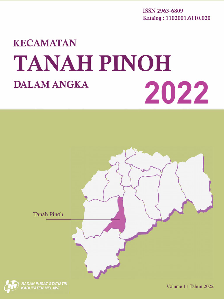 Statistik Kecamatan Tanah Pinoh 2022 | PDF