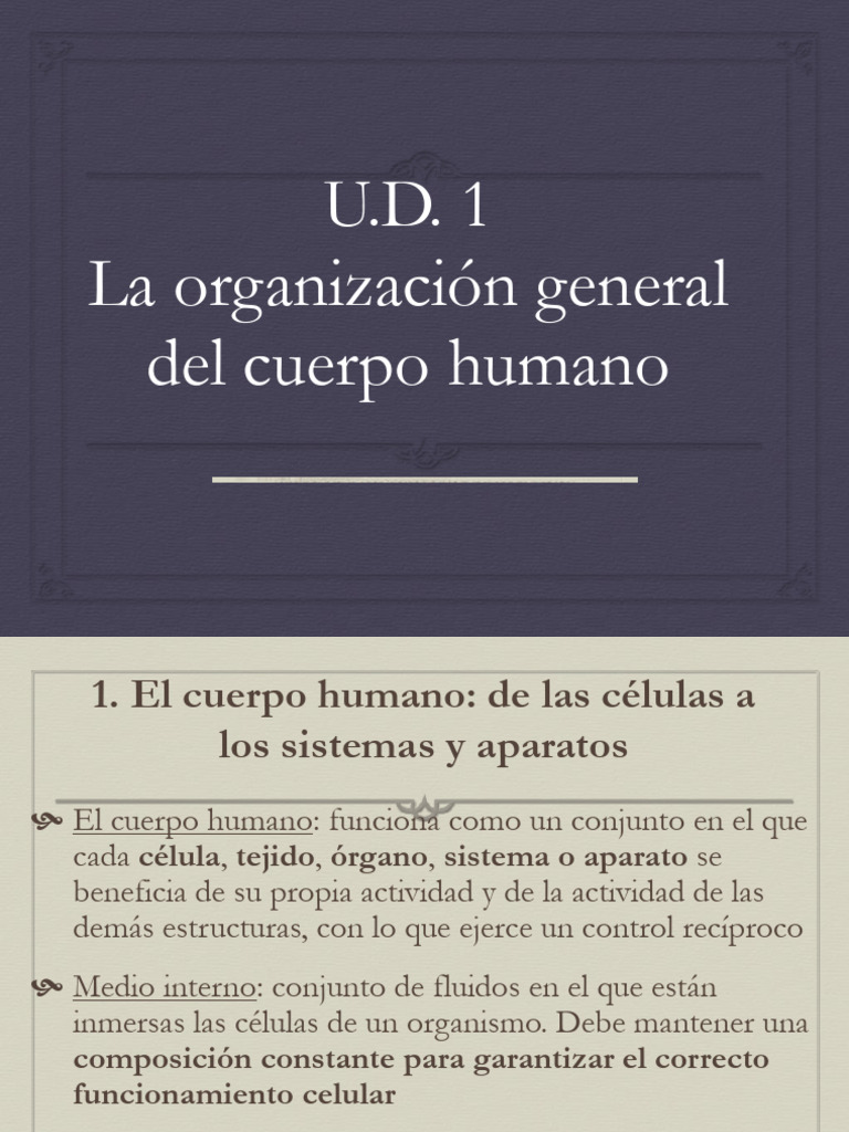 Unidad 1. La Organización General Del Cuerpo Humano | PDF | Términos ...