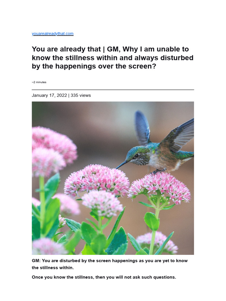 Why I Am Unable To Know Stillness Within and Always Disturbed by The ...