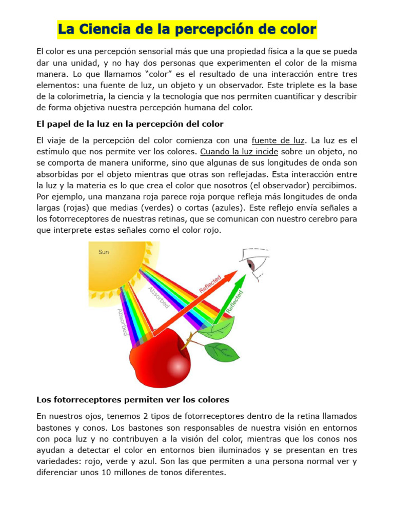 Percepciom de Color | PDF | Color | Percepción