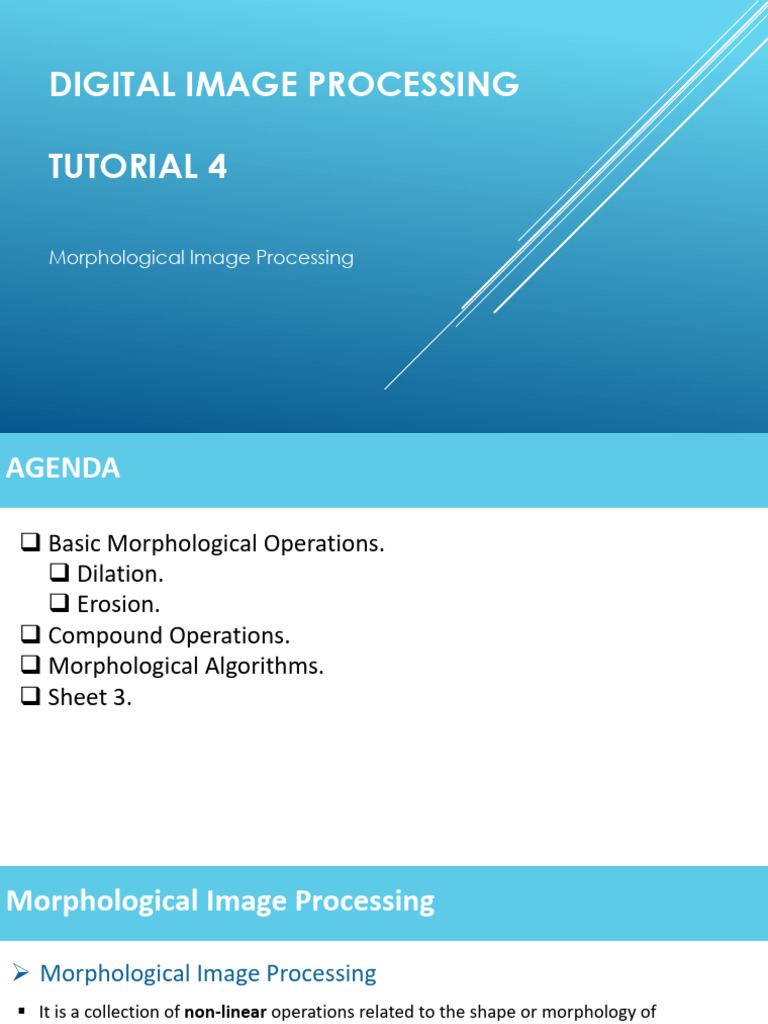 Tutorial 4 - Morphological Operations | PDF | Multidimensional Signal ...
