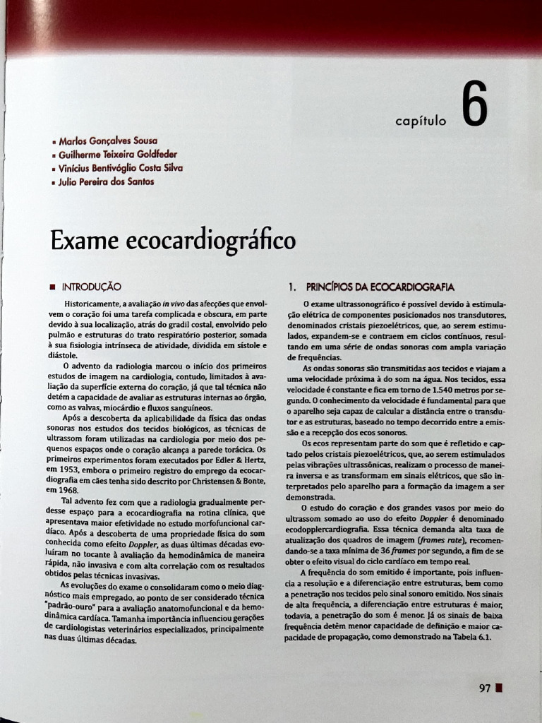 Eco | PDF