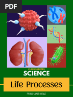 Class 10 Life Process Mind Map and Notes | PDF | Social Science ...