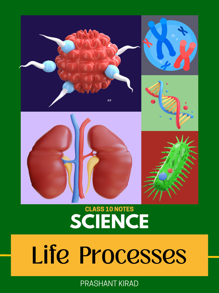 life-processes-short-notes-prashant-kirad-pdf-cellular