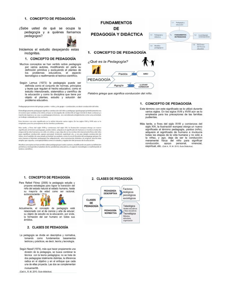 Fundamentos y Conceptods de Pedagogia | PDF | Pedagogía | Plan de estudios