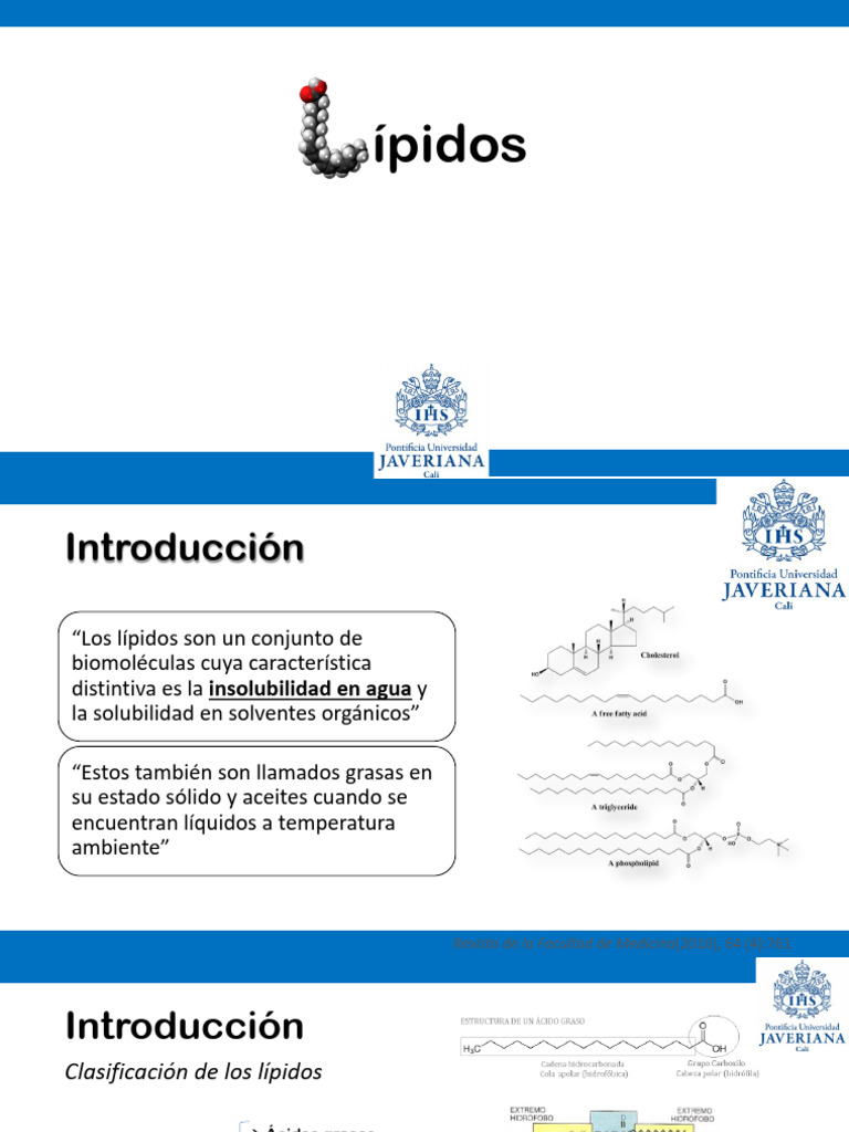 Direct File Topic Download | PDF | Bilis | Lípido