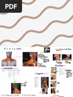 Músculos Del Cuello Y Triángulos