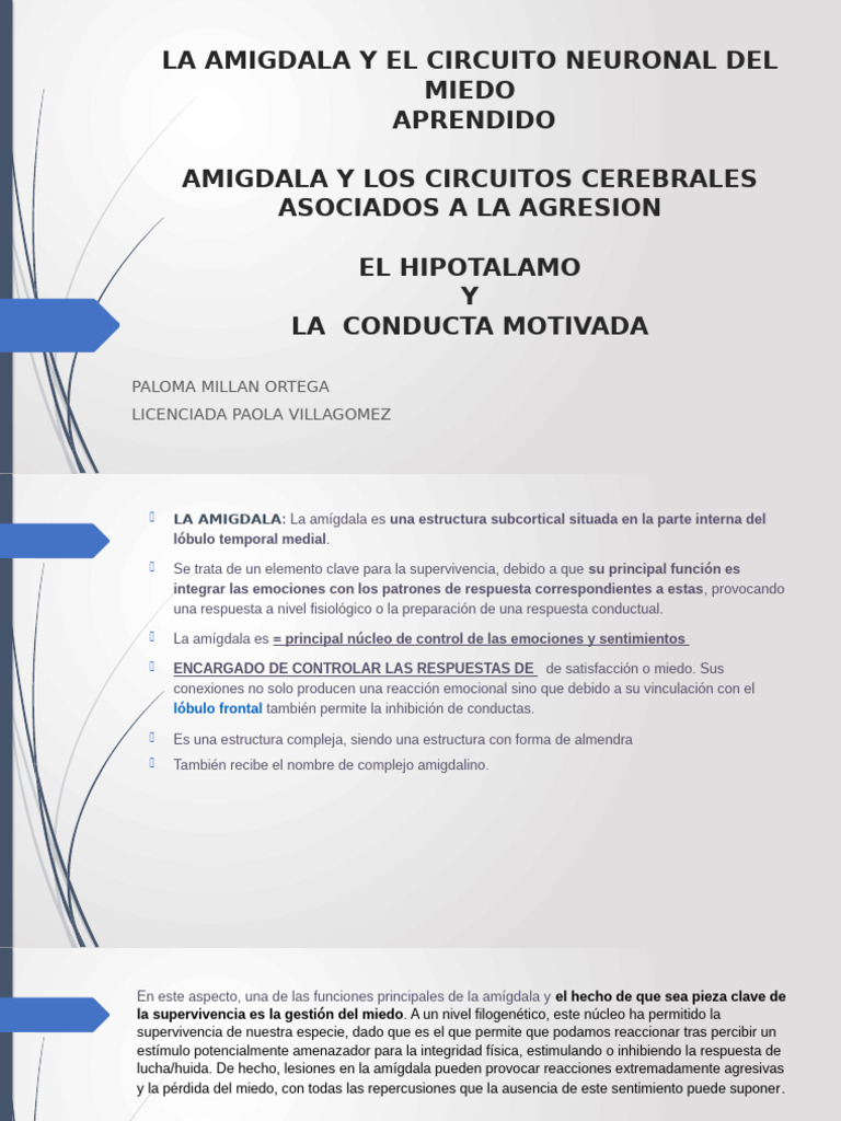 LA AMIGDALA Y CIRCUITO NEURONAL DEL MIEDO Exposicion | PDF | Las ...