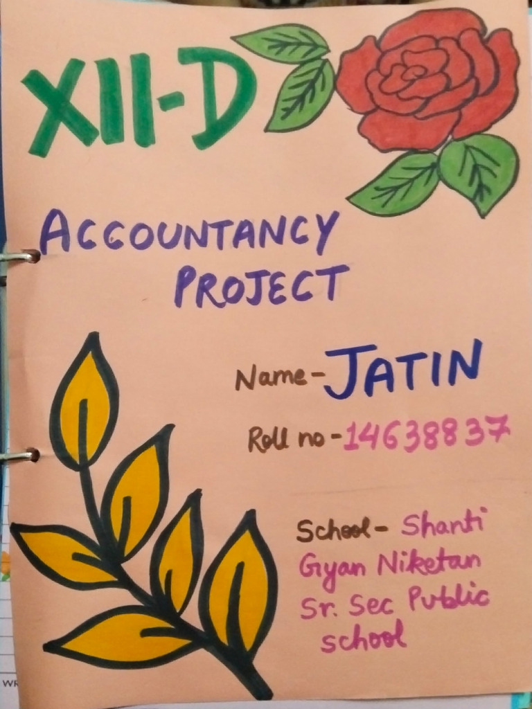 Accounts Project 12th | PDF