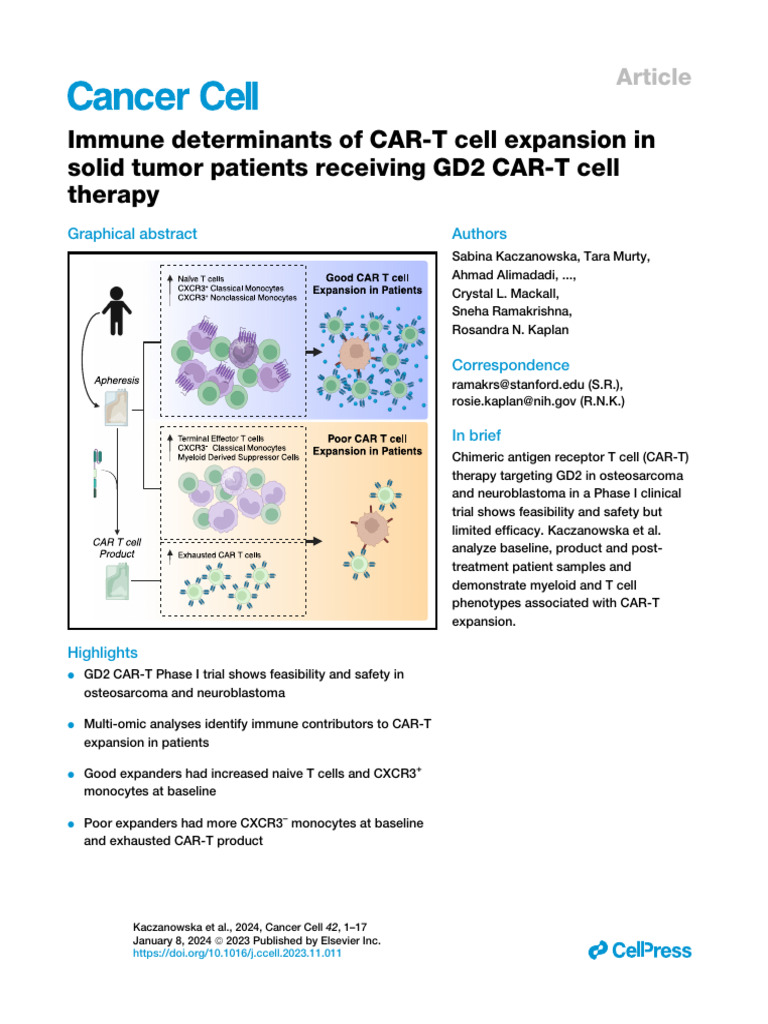 CAR-T Cell Expansion in Solid Tumors | PDF | Interferon | Interferon Gamma