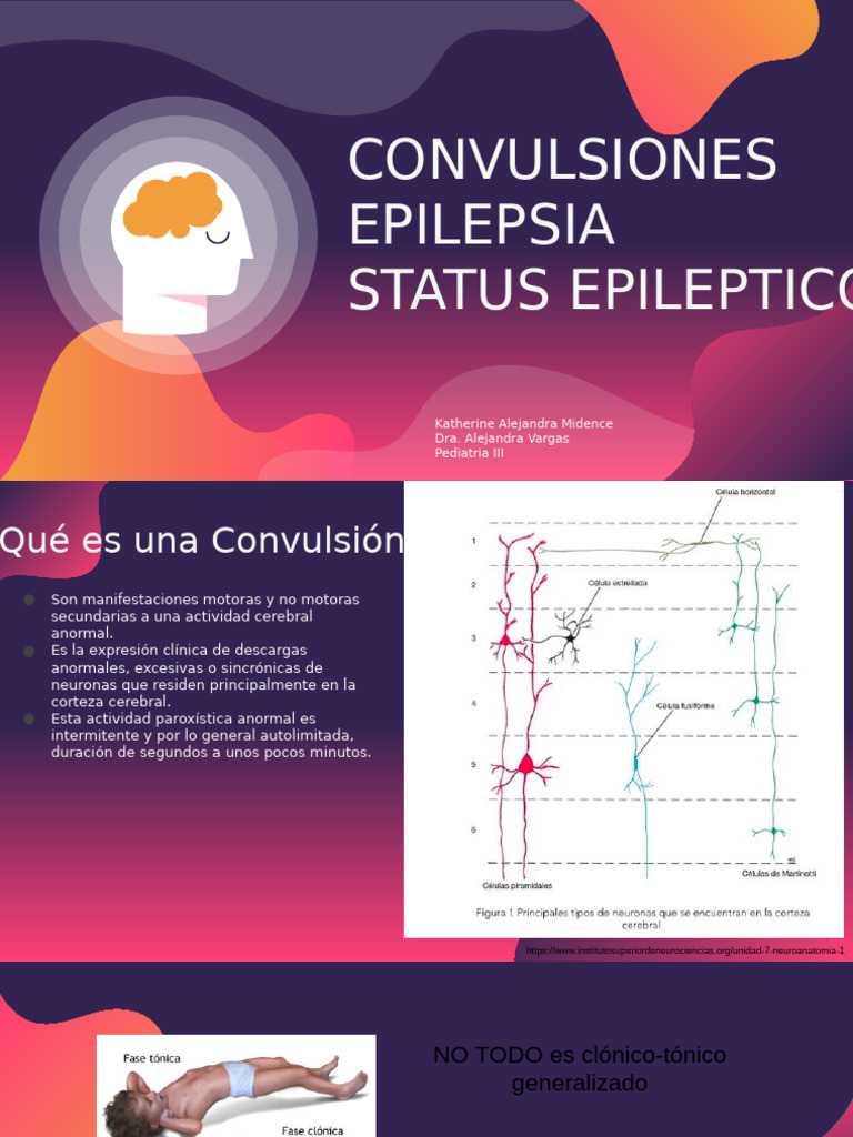 Convulsiones Epilepsia y Status Epileptico | PDF | Epilepsia ...
