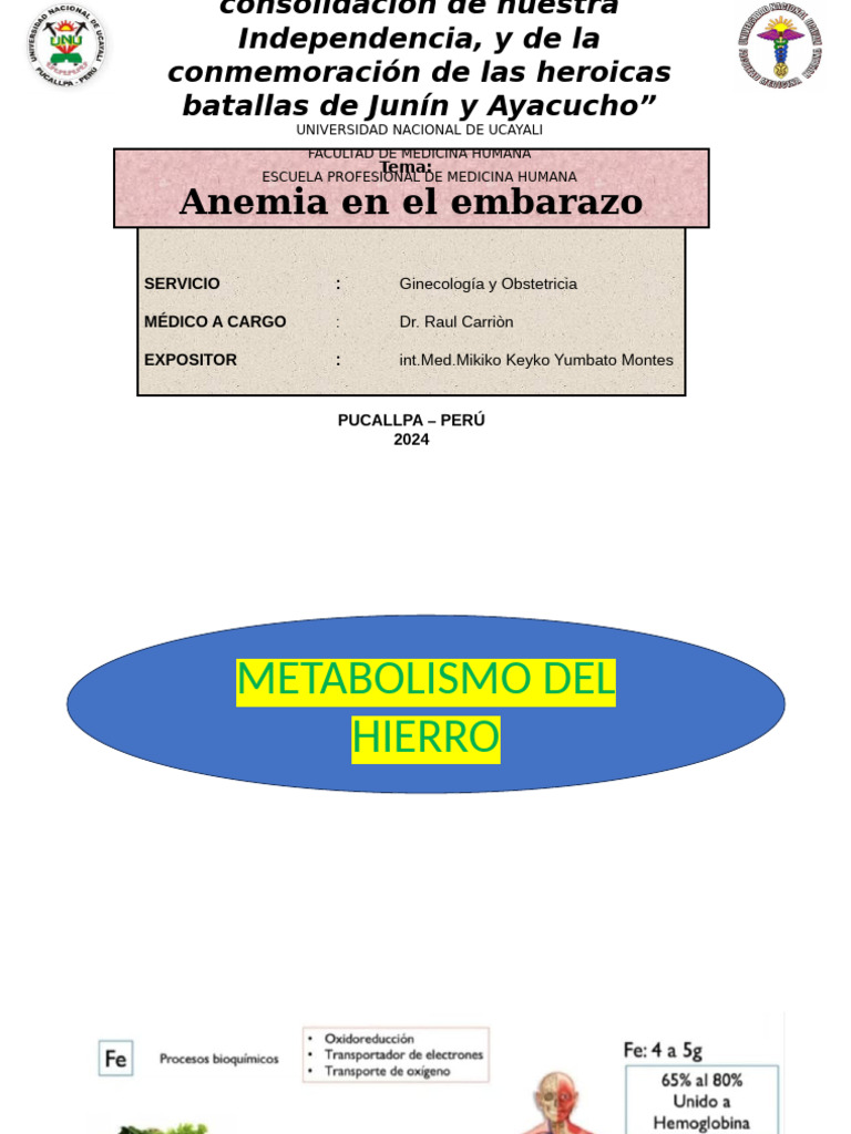 Anemia en El Embarazo | PDF | Anemia | El embarazo