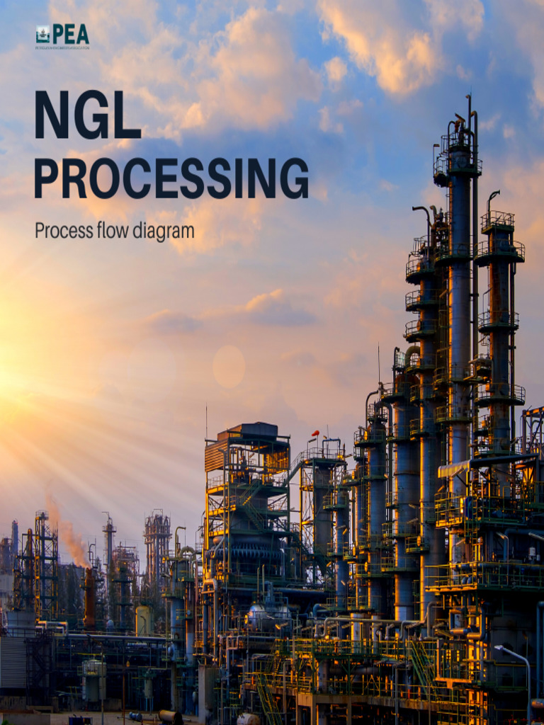 Natural Gas Liquids - Process Flow Diagram | PDF | Business | Computers