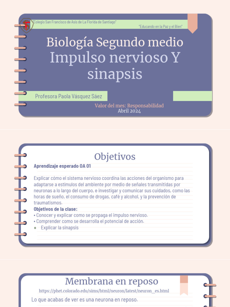 Impulso Nervioso y Sinapsis 2024 | PDF | Potencial de acción | Sinapsis
