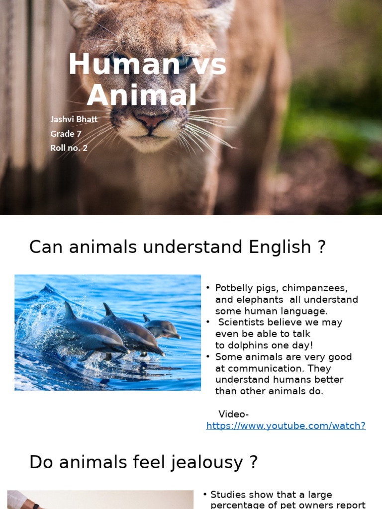 Understanding Animal Intelligence | PDF | Pet | Human