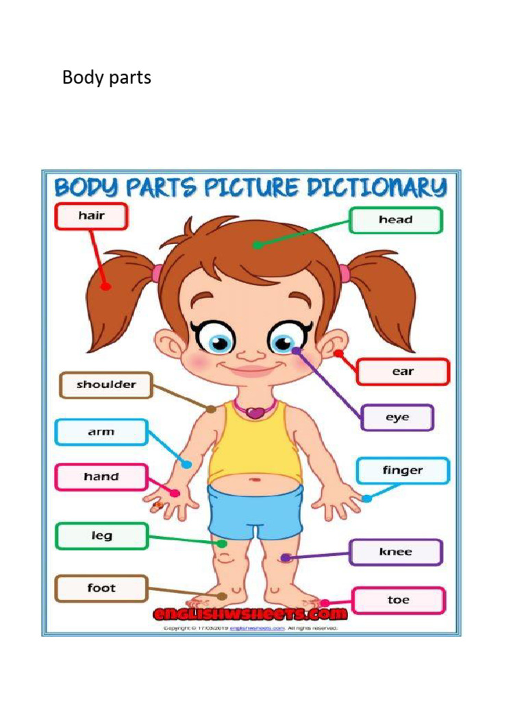 fs2 English Body parts | PDF