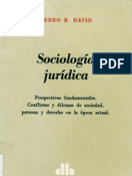 Pedro R. David - Sociología Jurídica